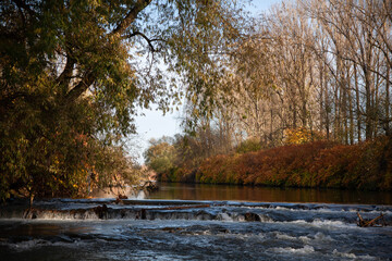 Autumn river gold colors Becva