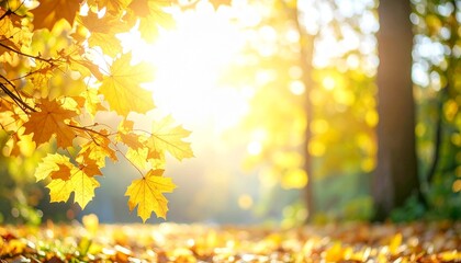 新緑 葉 木漏れ日 光 太陽 日差し 緑 黄緑 鮮やか 明るい 春 夏 森 自然 生命 輝き ボケ 爽やか 癒やし まぶしい