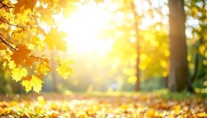 新緑 葉 木漏れ日 光 太陽 日差し 緑 黄緑 鮮やか 明るい 春 夏 森 自然 生命 輝き ボケ 爽やか 癒やし まぶしい