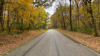 Country Road in the Fall