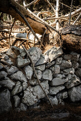Old, stone drywall in the dried out pine tree forest on Cres island, Croatia