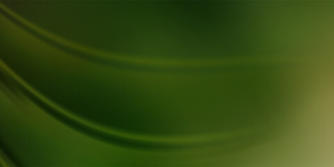 Closeup of dark green leaf with sunlight in garden and copy space for natural fresh greenery and botany background using cover page environment ecology wallpaper concept.