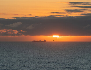 Fototapeta premium Bright sunset colors spread across the sky as a ship sails on the calm ocean. Dark clouds linger near the horizon, adding contrast to the scene. A solitary bird flies above the water