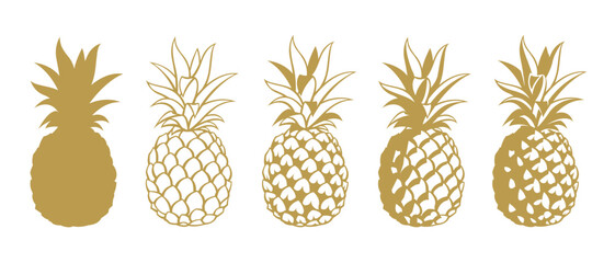 collection of pineapple tropical fruits isolated on white background