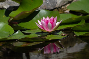 a crown above the water 