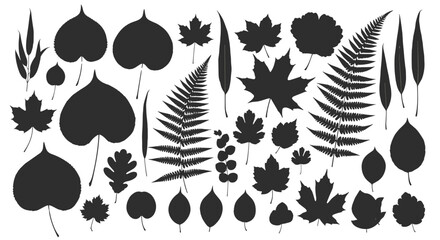 Collection of diverse leaf silhouettes, showcasing a variety of shapes, sizes, and textures, including maple, fern, and willow leaves, presented on a black background for graphic design and natural