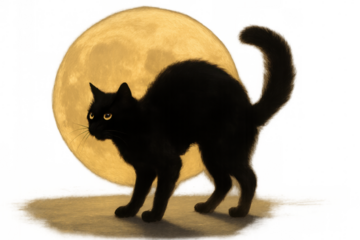 Black cat arching back, displaying superstitious halloween spooky fear under a full moon, transparent background