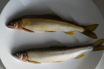 お皿に並べた子持ち鮎