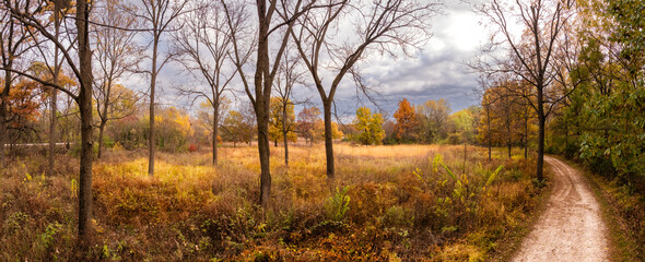 Panoramic photo the Lincoln Marsh in Wheaton Illinois – Peaceful Autumn Trail and Forest Meadow Landscape”