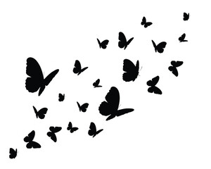 set of blue butterflies positive quote motivational etc fashion prints	