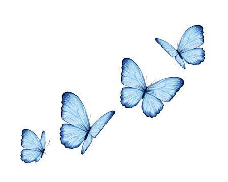 set of blue butterflies positive quote motivational etc fashion prints	