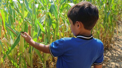 boy in the field