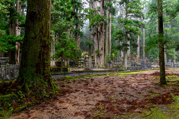 It is considered the largest cemetery in Japan, with more than two hundred thousand graves and memorial monuments. It is located on the sacred Mt. Koya and is immersed in a forest of tall conifers.