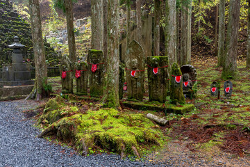 It is considered the largest cemetery in Japan, with more than two hundred thousand graves and memorial monuments. It is located on the sacred Mt. Koya and is immersed in a forest of tall conifers.