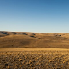 Naklejka premium Vast, empty stretch of rolling hills meeting a clear horizon line under a calm, expansive sky. Simple and fundamental natural view, clear, background, field