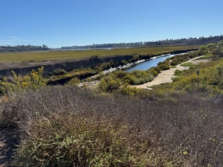 Narrow Brackish Waterway: A small, winding channel of brackish water flowing through a marsh or estuary environment.