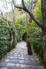京都大原寂光院の参道風景