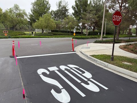 Stop Sign Intersection: A red octagonal stop sign at a street intersection, protected by sturdy safety bollards.