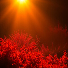 Warm golden hour light illuminating Resplandor dorado rompe la negra oscuridad del vacío, soft light, reds, oranges, and yellows, peaceful atmosphere