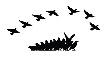 A flock of birds taking flight above a group of animals