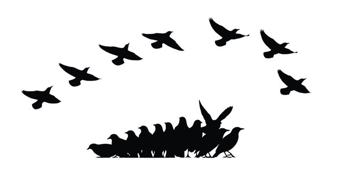 飛び立つ鳥」の写真素材 | 43,530件の無料イラスト画像 | Adobe Stock