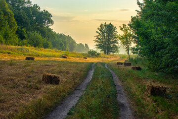 A rural landscape with a country road, meadow, and forest on a summer morning. Nature in eastern Ukraine, Kharkiv Oblast