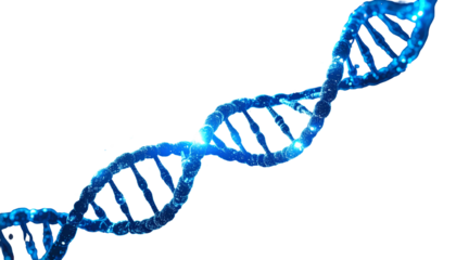 Glowing blue double helix on black background representing DNA strands