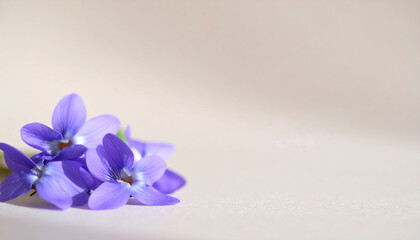 淡い紫色の小さな花が白背景に添えられた春らしいシンプルで上品な静物構図