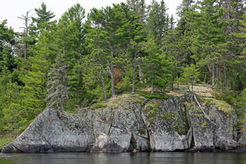 Cliffs and forest of Rainy Lake - Voyageurs National Park, Minnesota