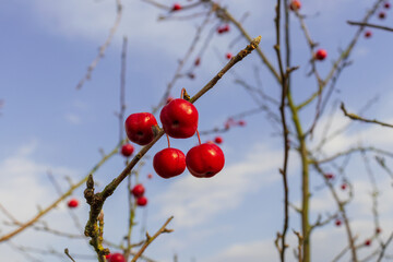 27 October 2025 Almatys new park, built on the site of the former presidential residence, Almaty City, Kazakhstan
