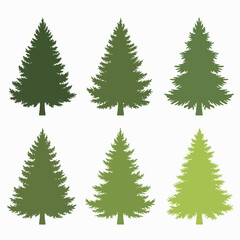 Obraz premium green douglas fir green Christmas tree silhouette collection set 2d flat vector style isolated white background 