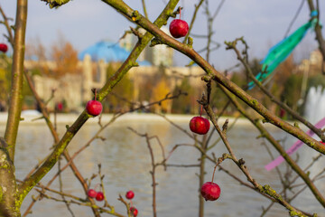 27 October 2025 Almatys new park, built on the site of the former presidential residence, Almaty City, Kazakhstan
