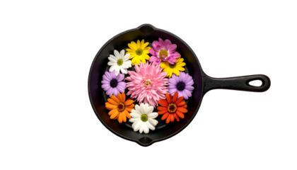 Colorful daisies float within a black cast-iron skillet against a stark black background