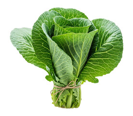 Obraz premium Fresh green cabbage isolated on transparent background