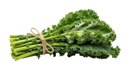Fresh kale tied with twine isolated on transparent background