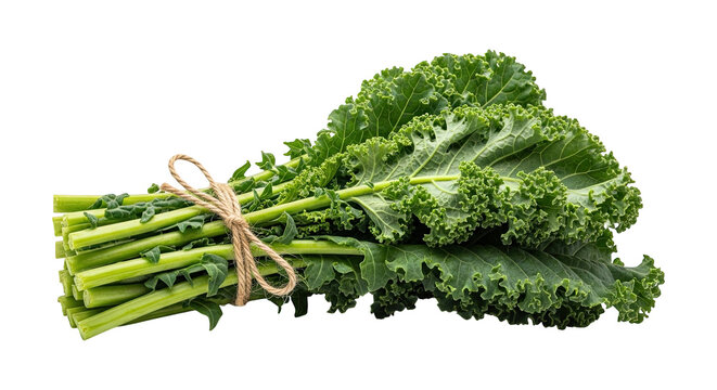 Fresh kale tied with twine isolated on transparent background - Powered by Adobe
