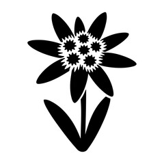 Edelweiss flower silhouette, a symbol of purity