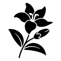 Black and white lily flower illustration