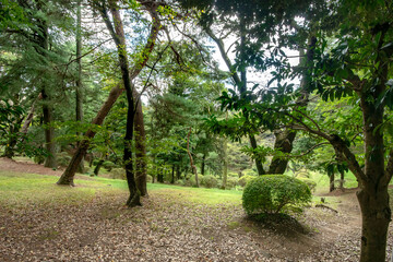 栃木県宇都宮市の八幡山公園