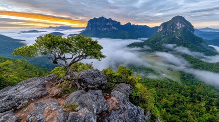 Fototapeta premium Lush Tropical Forest Shrouded in Morning Mist at Sunrise with Dramatic Rock Formations