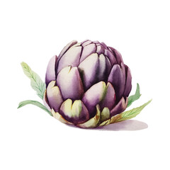 Obraz premium Artichoke Vector Watercolor Style Botanical Vegetable Food Healthy Ingredient