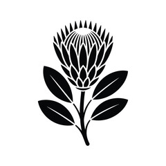 Black silhouette of a protea flower with leaves on a white background vector illustration.