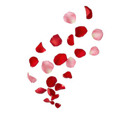 3d falling rose petals isolated on transparent background