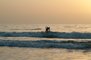 Fototapeta premium surfer on the beach sunrise 