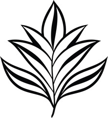 Exotic Leaf Patterns Line Art Transparent Background