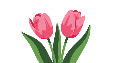 Fototapeta premium Two vibrant pink tulips with fresh green leaves stand tall against a clean white background, symbolizing spring, beauty, and renewal.