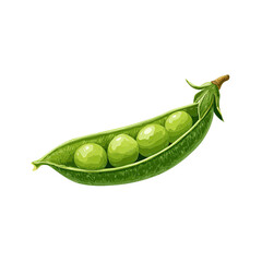 Open Pea Pod with Green Peas
