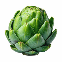 Fresh Green Artichoke with Water Droplets