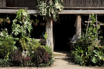 Peaceful traditional wooden house entrance surrounded by lush green garden and exotic foliage. serene scene shows mysterious dark doorway leading into rustic home in village