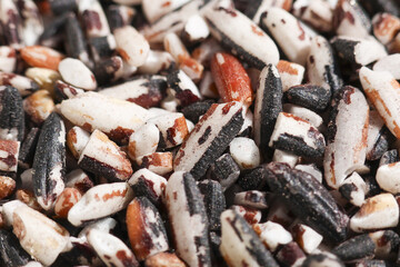 Close up macro view of healthy, natural, three colour brown rice blend. This wholesome uncooked grain texture background good for diet and nutrition concepts